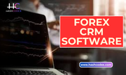 Simple Forex CRM Development Process,  Only On Hashcodex!